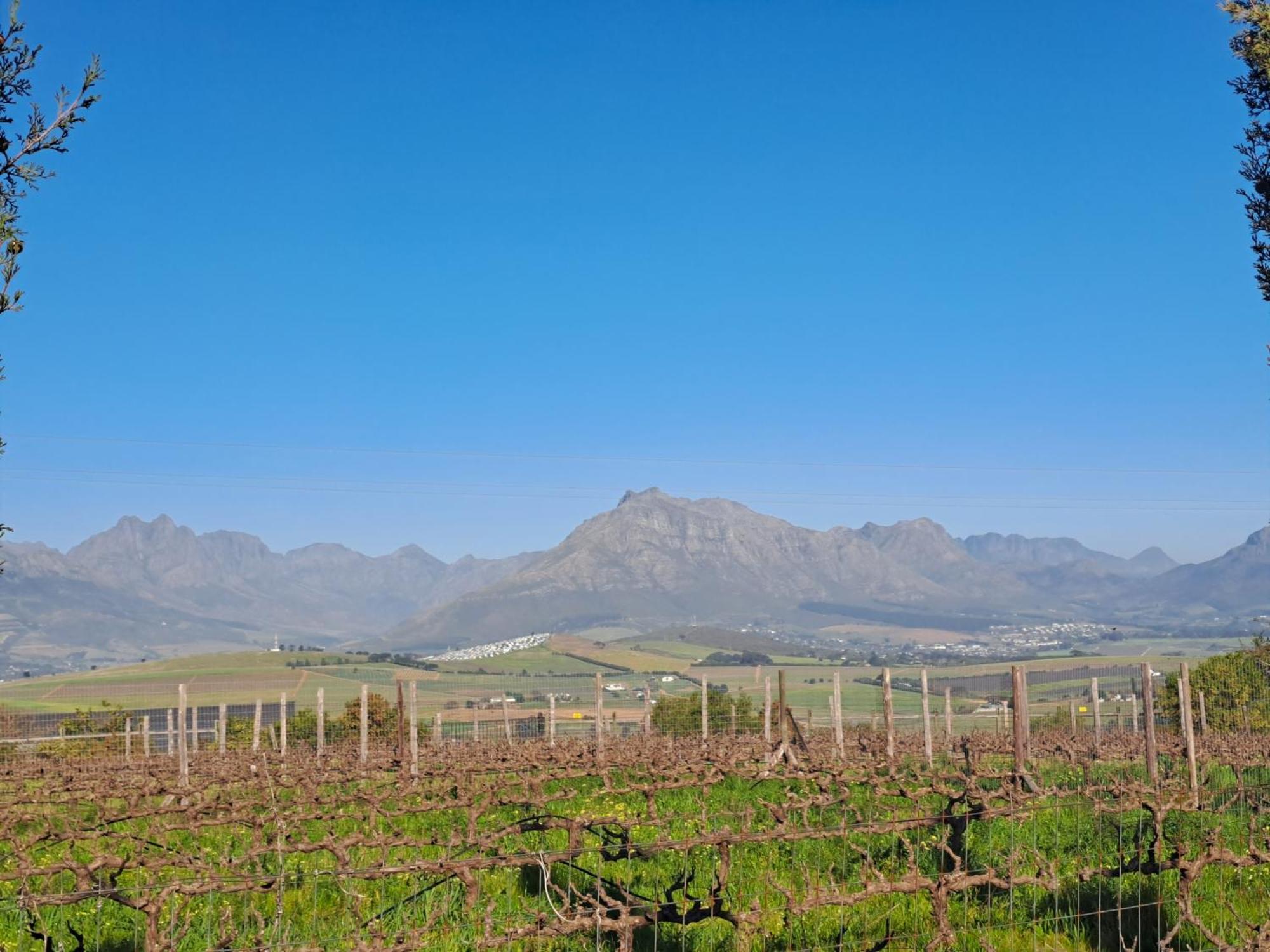 Domaine Coutelier Διαμέρισμα Στέλενμπος Δωμάτιο φωτογραφία