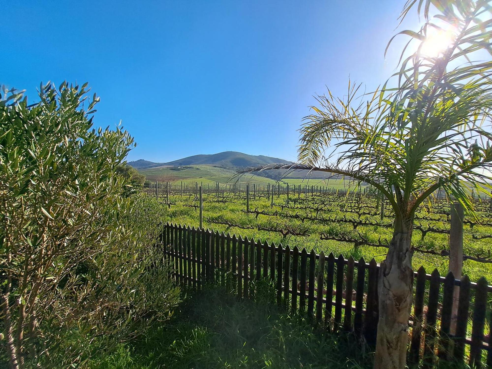 Domaine Coutelier Διαμέρισμα Στέλενμπος Δωμάτιο φωτογραφία