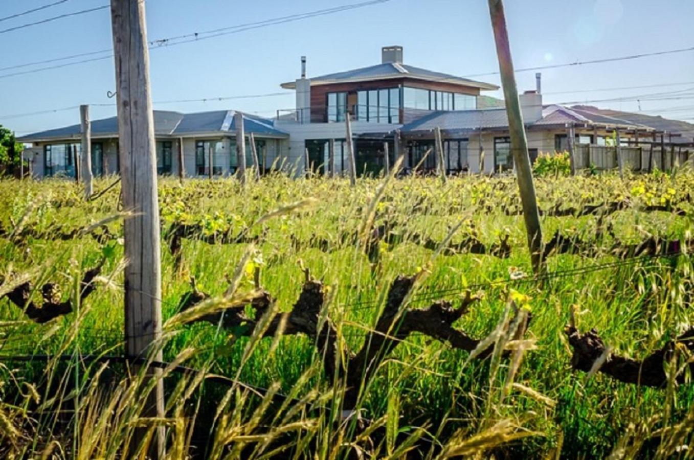Domaine Coutelier Διαμέρισμα Στέλενμπος Εξωτερικό φωτογραφία