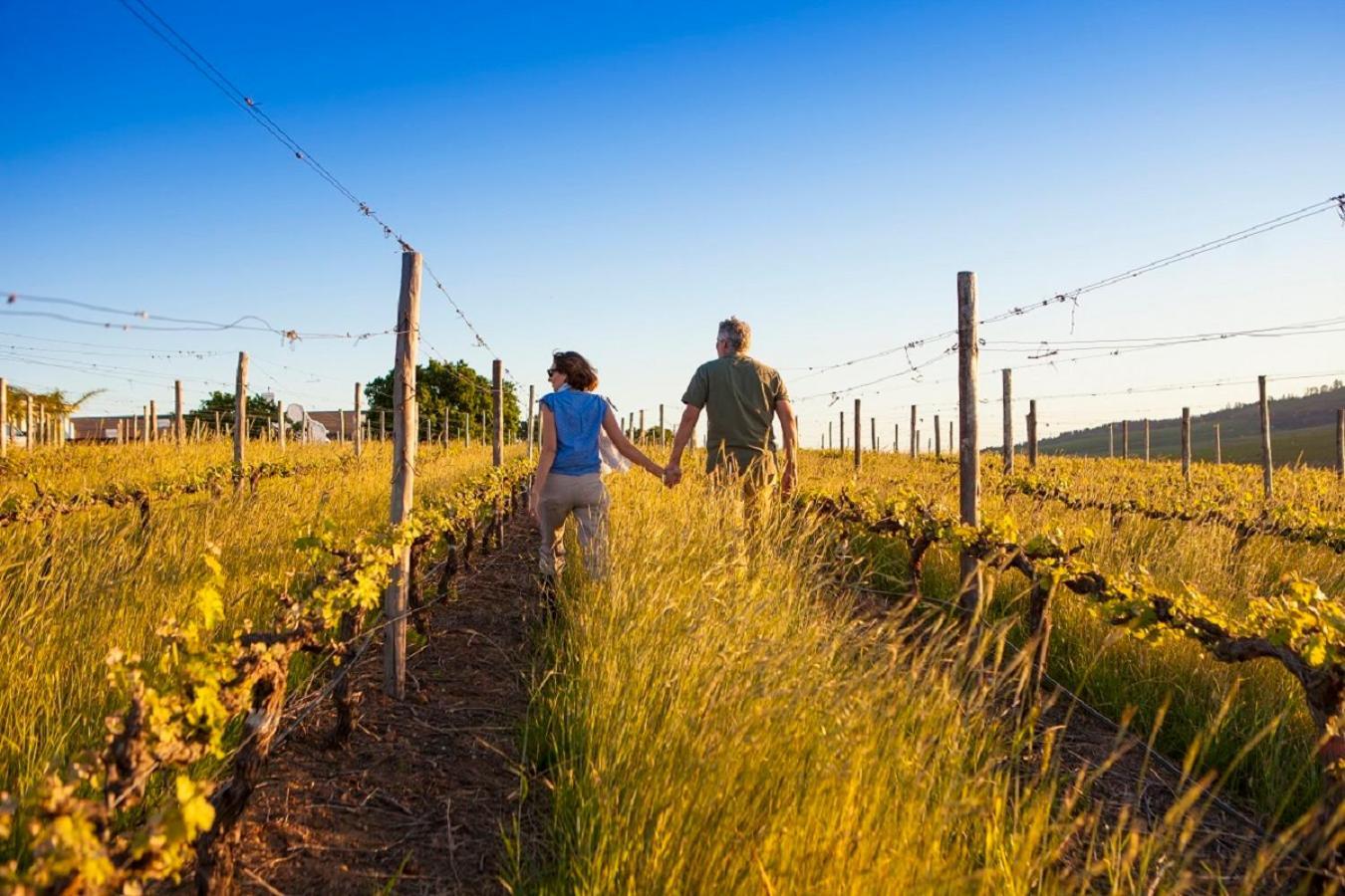 Domaine Coutelier Διαμέρισμα Στέλενμπος Εξωτερικό φωτογραφία