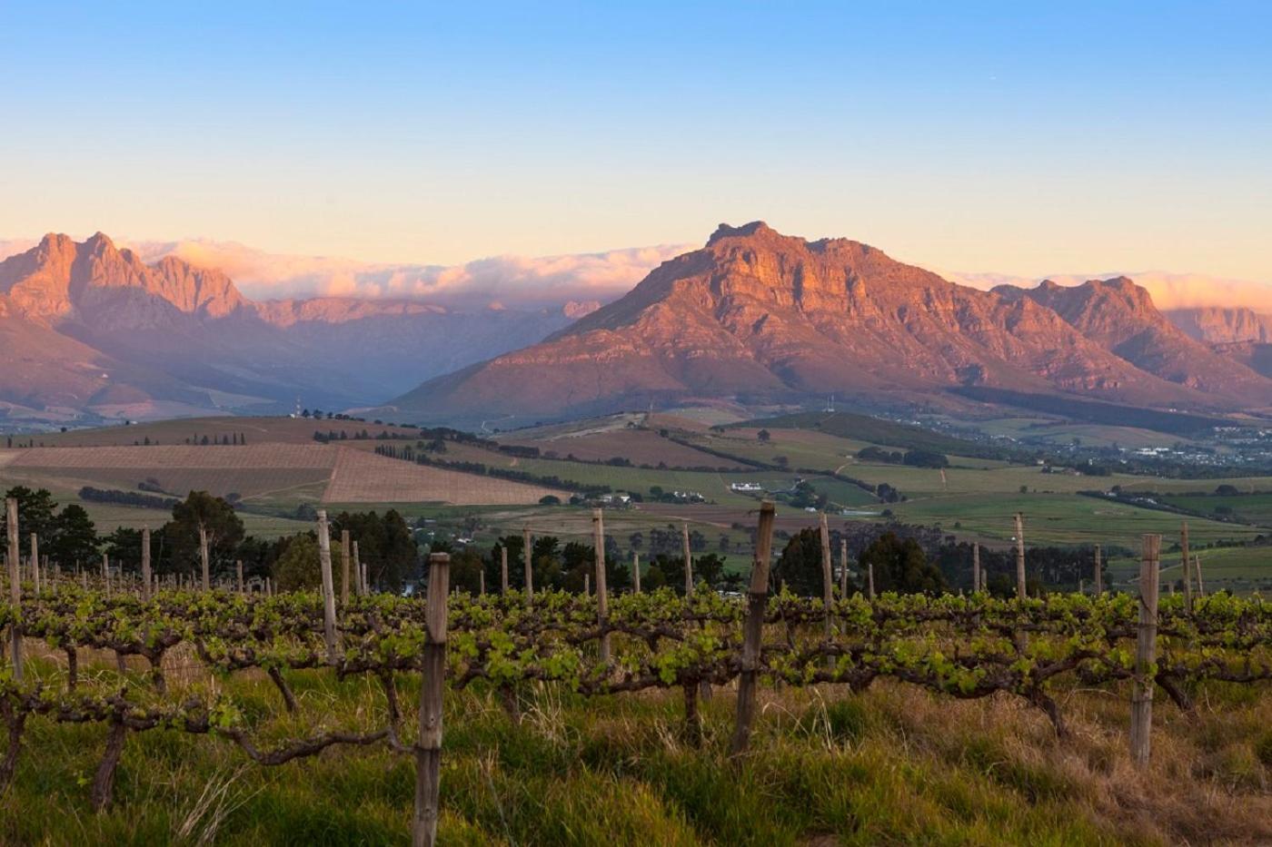Domaine Coutelier Διαμέρισμα Στέλενμπος Εξωτερικό φωτογραφία