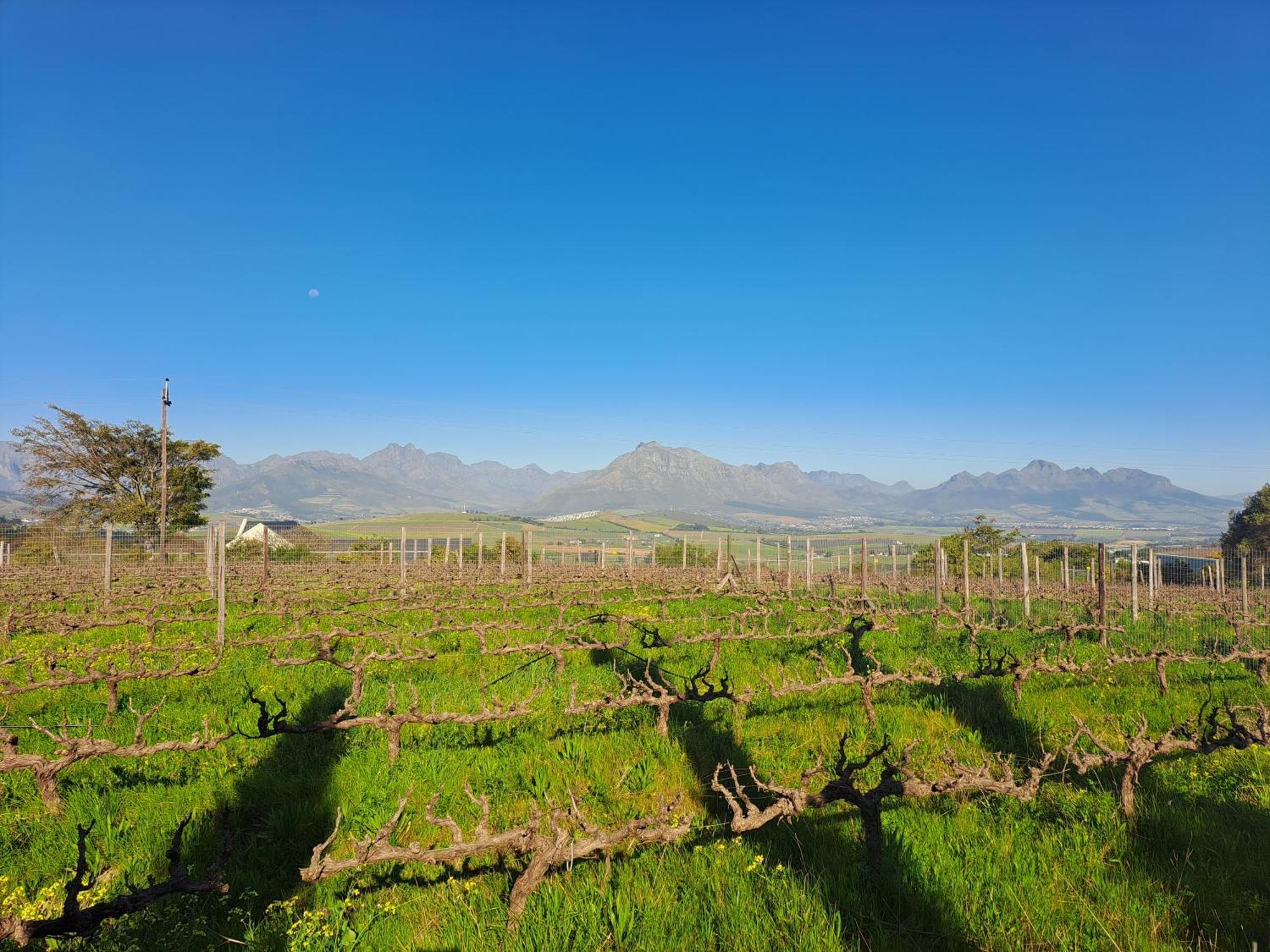 Domaine Coutelier Διαμέρισμα Στέλενμπος Δωμάτιο φωτογραφία